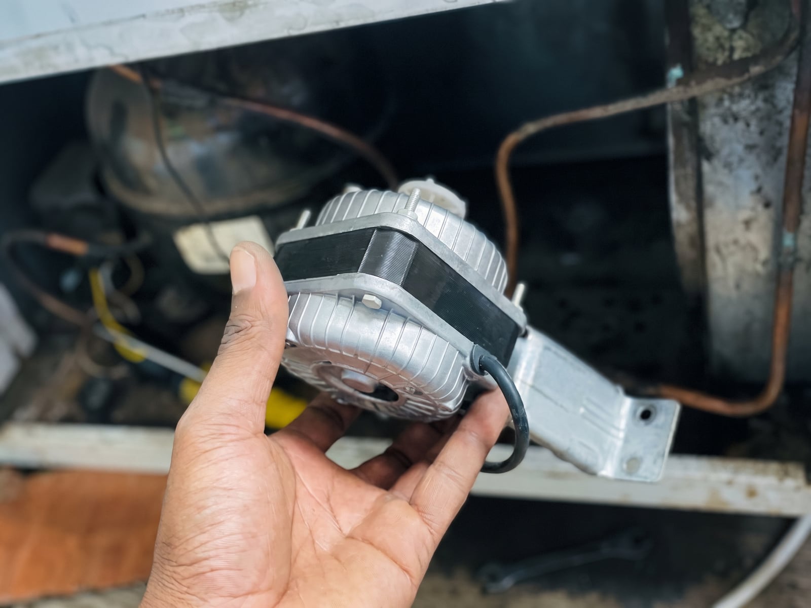 Appliance motor and wiring under repair